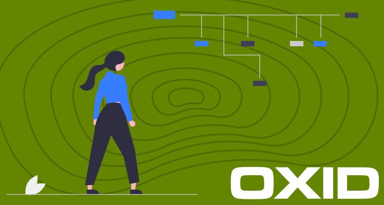 OXID eShop Optimierung: Die perfekte URL-Struktur